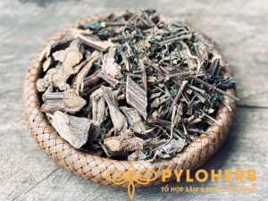 Giảo Cổ Lam có thể được sử dụng tất cả các bộ phận trên toàn thân để làm thuốc, nhưng chủ yếu vẫn là lá