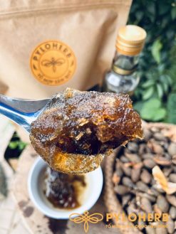 Alternative view of Hạt Ươi Bay Rừng