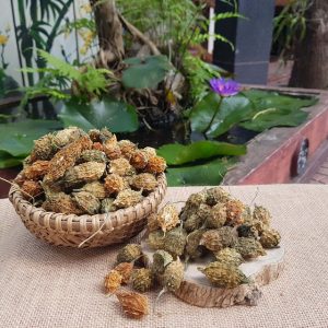 Khổ qua rừng Măng Đen có dược tính rất cao
