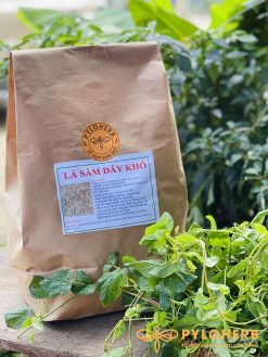 Lá sâm dây rừng