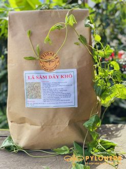Lá Hồng Đẳng Sâm Rừng