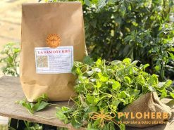 Lá Hồng Đẳng Sâm Rừng