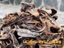 Alternative view of Măng Le Rừng