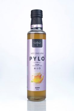 Mật Ong Sâm PyLo Queen món quà cho sức khỏe