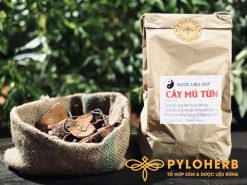 Có thể sắc nước mú từn uống hoặc ngâm rượu đều được