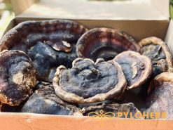 Chưa kể hơn 110 loại Axit Amin vô cùng cần thiết cho cơ thể