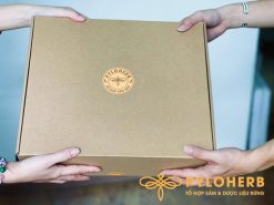 nấm hồng chi rừng