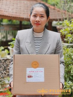 Nấm Cổ Cò Rừng trong tự nhiên