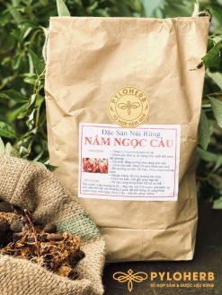 Uống nước nấm ngọc cẩu hàng ngày để có sức khỏe tốt