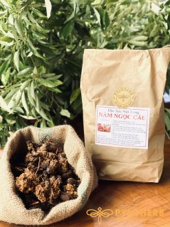 Nấm ngọc cẩu rừng có nhiều tác dụng tốt cho sức khỏe