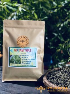 Nụ tam thất rừng do Dược Liệu Rừng PyLoHerb cung cấp