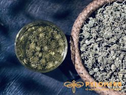 Trà từ nụ tam thất rừng giúp giải độc gan