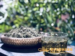 Nụ tam thất rừng sấy khô