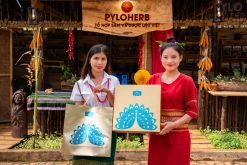 PyLo Thịnh Vượng