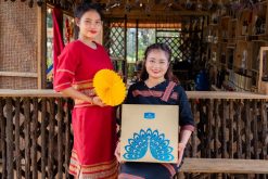 PyLo Thịnh Vượng
