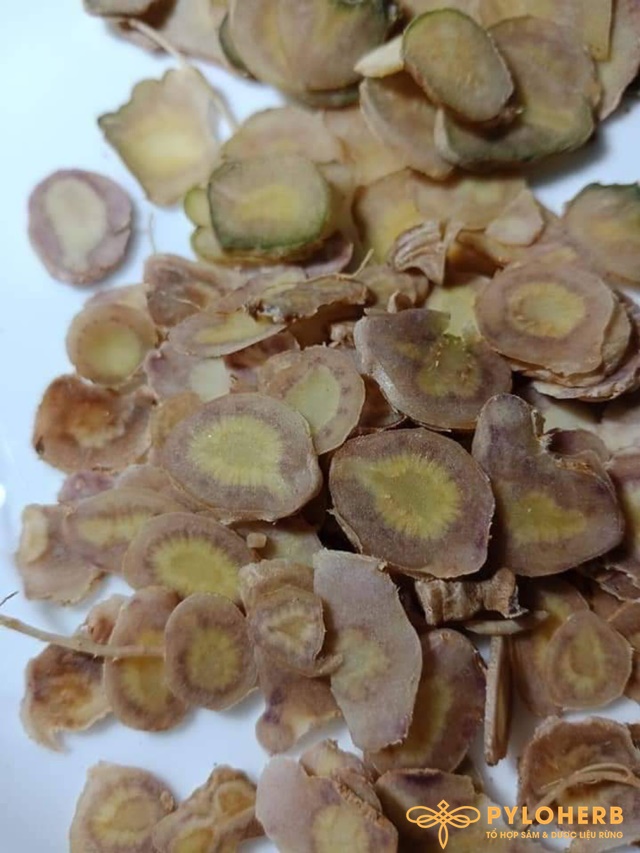 Nên bảo quản sâm ở nơi khô ráo, thoáng mát