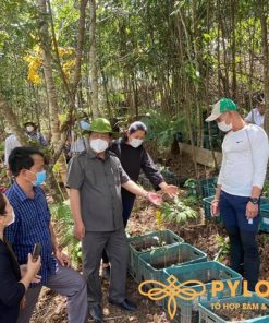 Chủ Tịch tỉnh Komtum tới thăm vườn sâm PyLoHerb
