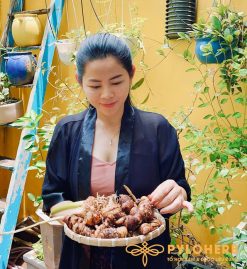 Rễ thất diệp nhất chi hoa rừng là bộ phận có giá trị dược liệu cao nhất