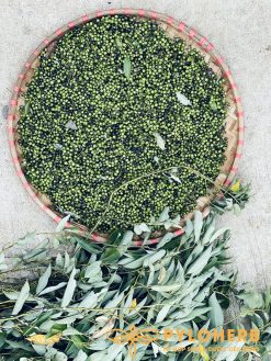 Alternative view of Tiêu Rừng