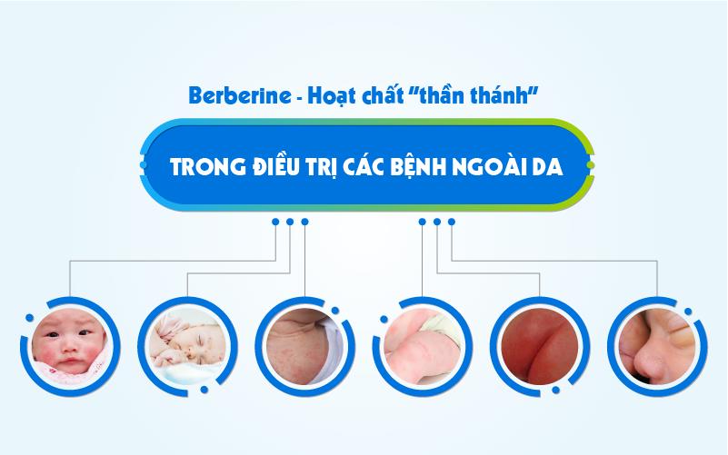 Berberin hiệu quả điều trị các bệnh về da như viêm loét nhiễm khuẩn, kết mạc mắt...