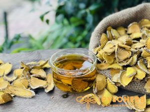 Thân Cây Vàng Đắng rừng