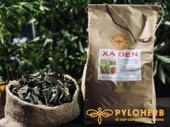 Dược liệu xạ đen rừng chứa nhiều hoạt chất chống ung thư