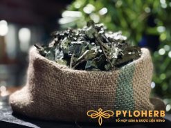 Dùng xạ đen rừng thường xuyên giúp an thần, chống suy nhược thần kinh