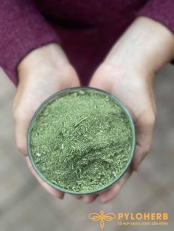 Xuyên Tâm Liên có khả năng giảm lượng virus Covid - 19 trong phổi bệnh nhân