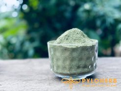 Xuyên Tâm Liên có dược tính như một loại kháng sinh thực vật