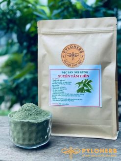 Xuyên tâm liên - vị thuốc cổ truyền có khả năng hỗ trợ điều trị cho bệnh nhân COVID-19