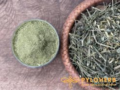 Thảo dược xuyên tâm liên phơi khô dùng sắc thuốc uống phòng và điều trị COVID-19 tại nhà