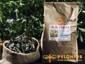 Dược liệu rừng xạ đen