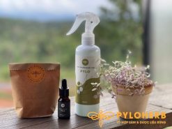 Bộ Đôi Tinh Dầu Khử Khuẩn, Xông Nhà và Người