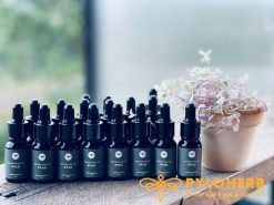 Chai tinh dầu Dược Liệu PyLo