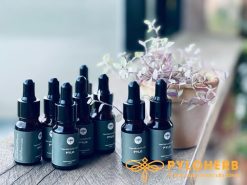 Tinh dầu dược liệu giúp khử khuẩn hiệu quả