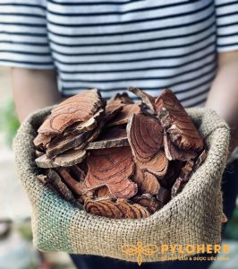 Cây cỏ máu