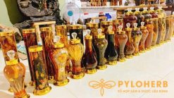 Trọn Bộ 30 Món Rượu Dược Liệu Ôm Trọn Rừng Xanh