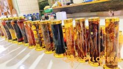 Alternative view of Trọn Bộ 30 Món Rượu Dược Liệu Ôm Trọn Rừng Xanh