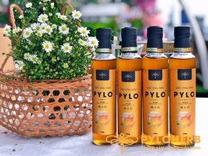 mật ong sâm PyLo giúp bồi bổ sức khỏe toàn diện