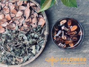 Dược liệu rừng PyLoHerb cung cấp dược liệu rừng chất lượng