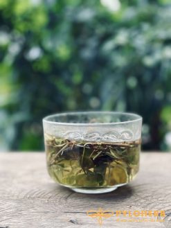 Alternative view of Thìa Canh Rừng