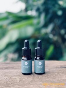 Tinh dầu dược liệu PyLo chiết xuất từ dược liệu quý thiên nhiên