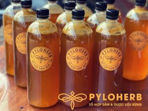 Dược Liệu Mật Ong Rừng PyLoHerb cung cấp mật ong rừng chất lượng giá cả hợp lý