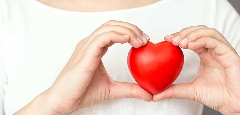 Bảo vệ sức khỏe tim mạch là công dụng của bào ngư được nhiều người quan tâm
