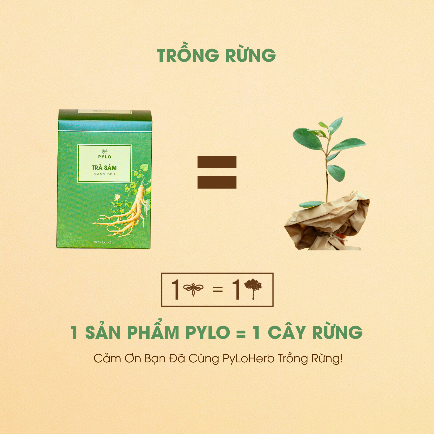 Trà Sâm PyLo - Ảnh 5