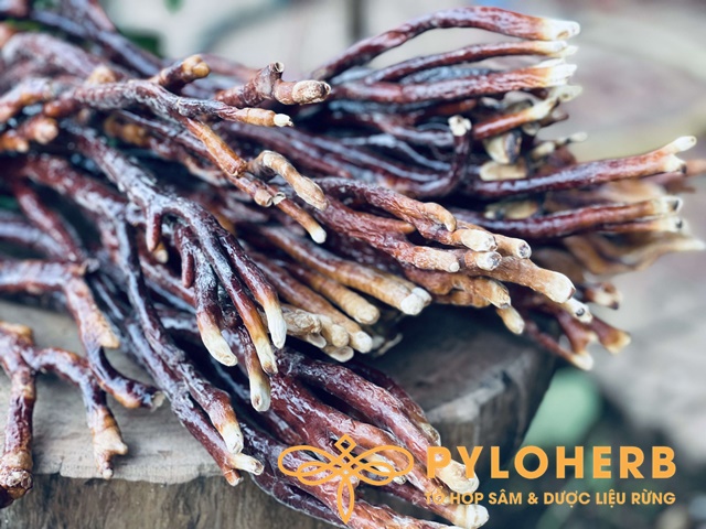 Loại nấm linh chi này có hàm lượng dưỡng chất cao