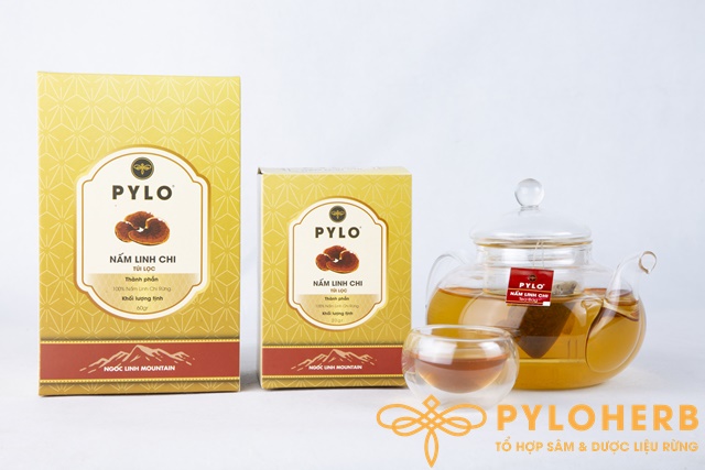 Liên hệ PyLoHerb để mua trà Nấm Linh Chi PyLo Túi Lọc