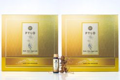 Món quà tinh túy từ núi rừng
