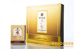 Bộ quà tặng thăm bệnh của PyLoHerb