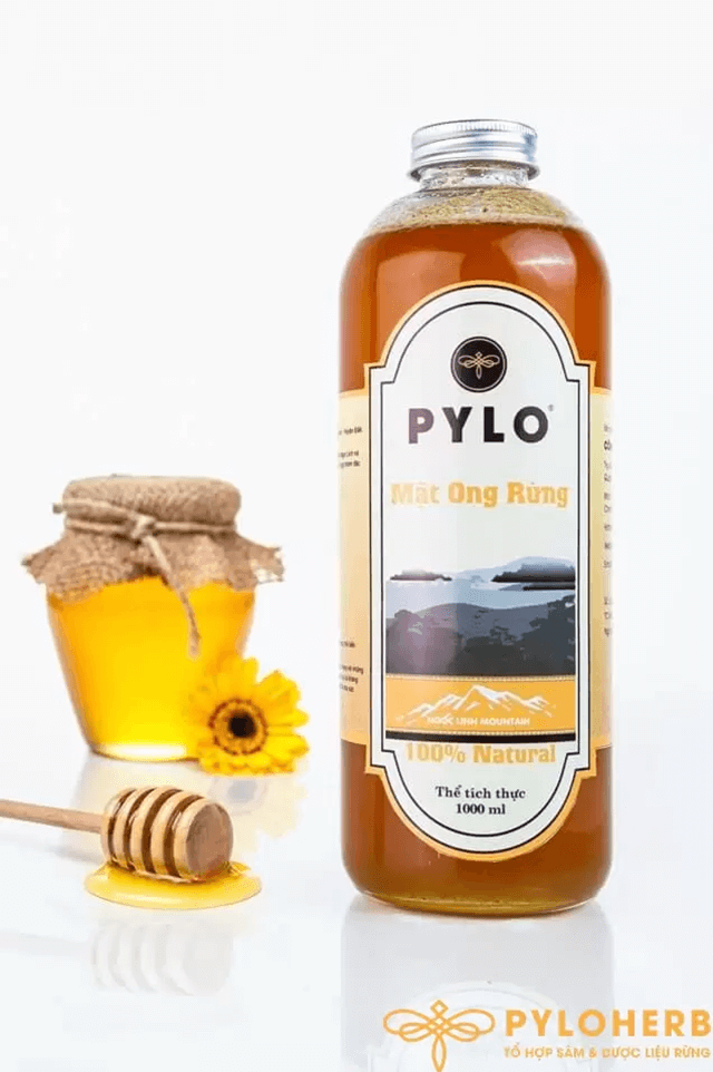 Mật ong rừng PyLo- Sản phẩm quý đến từ thiên nhiên